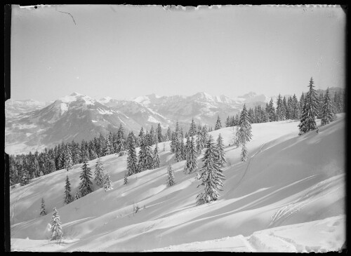 [Winterliche Landschaft]