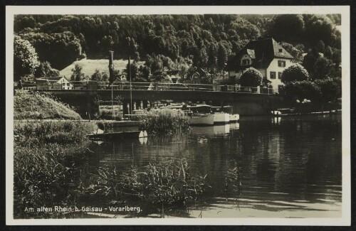 Am alten Rhein b. Gaisau - Vorarlberg