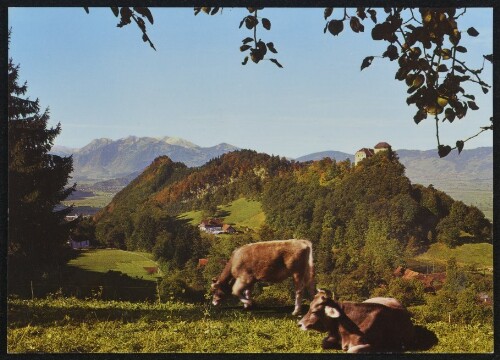 [Hohenems] : [Hohenems, Schloß Glopper, Vorarlberg Blick über das Rheintal auf die Schweizer Berge ...]