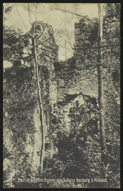 Partie aus den Ruinen von Schloss Neuburg b. Koblach