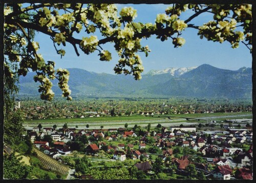 [Lustenau] : [Blick vom Schweizer Berg auf Lustenau am Rhein Hauptort der Vorarlberger Stickereiindustrie ...]