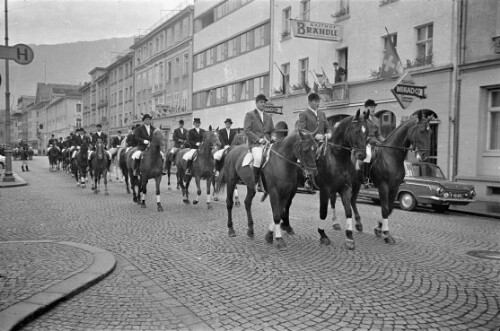 Tag des Pferdes in Bregenz