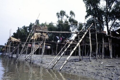 [Holzfällerlager in den Sundarbans]