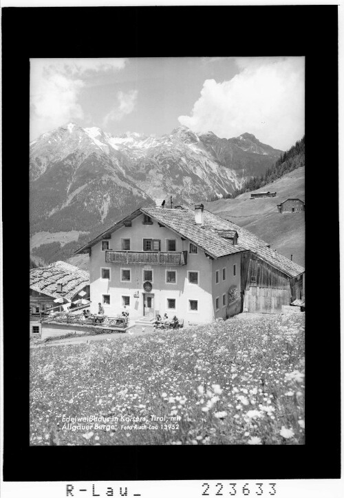 Edelweisshaus in Kaisers / Tirol / mit Allgäuer Berge