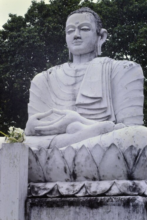 [Buddha Statue]