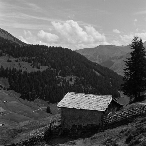 Dornbirn, Alphütte