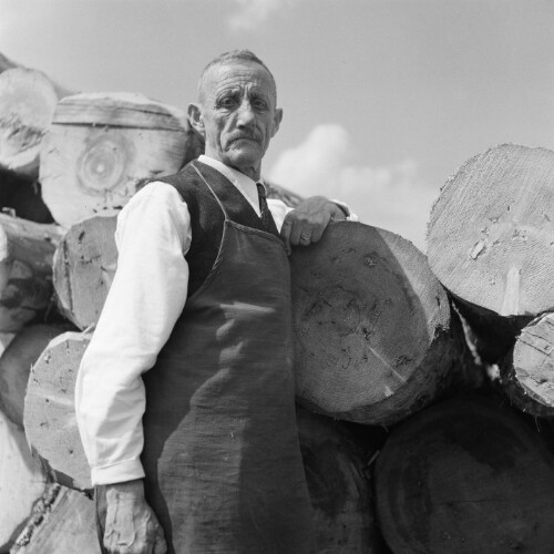 Schwarzenberg - Stangenach, gestapelte Baumstämme, Mitarbeiter eines Sägewerks