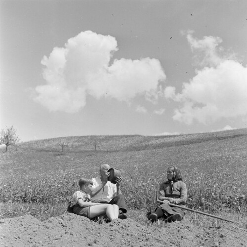 Vorarlberg, Familie bei der Feldarbeit