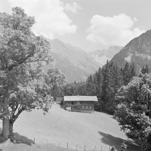 Mittelberg - Alpenwald