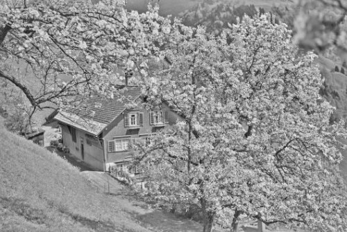 Schwarzenberg - Bödele, Bauernhaus
