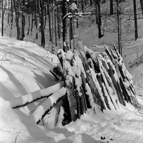 Holzstapel im verschneiten Wald