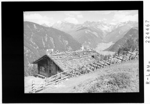 Bergeralm bei Steinach am Brenner / Blick auf die Zillertaler Alpen