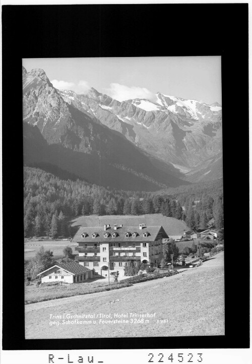 Trins im Gschnitztal / Tirol / Hotel Trinserhof gegen Schafkamm und Feuerstein 3268 m