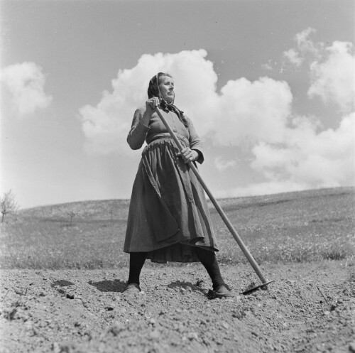 Dorbirn - Häfenberg, Bäuerin mit Harcke bei der Feldarbeit