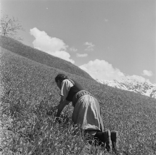Bartholomäberg, Bäuerin bei der Feldarbeit