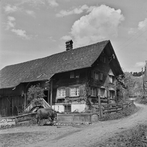 Dornbirn - Hatlerdorf, Haslachgasse 7