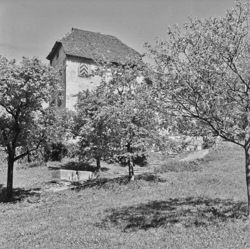 Feldkirch, Schloss Amberg