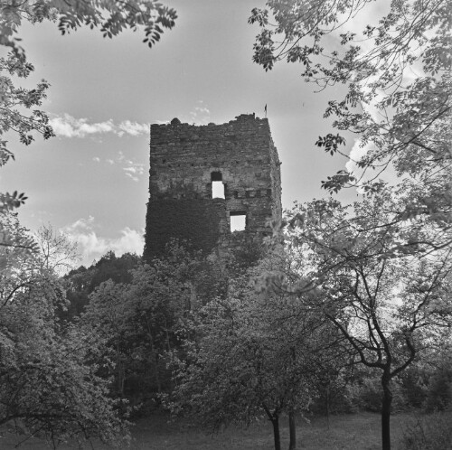 Götzis, Ruine Neu-Montfort