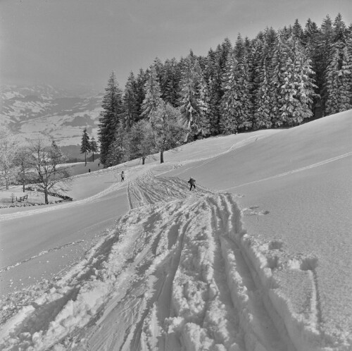 Schwarzenberg - Bödele, Skilauf