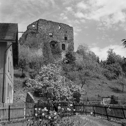 Schlins, Ruine Jagdberg