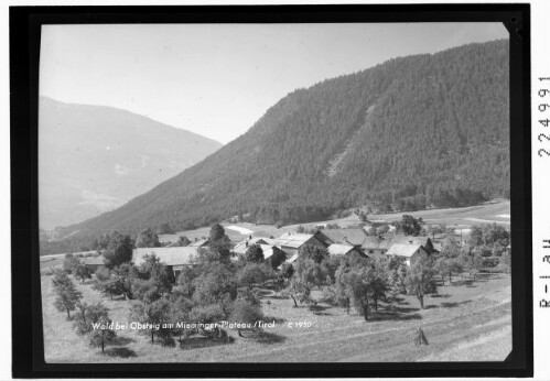 Wald bei Obsteig am Mieminger Plateau / Tirol