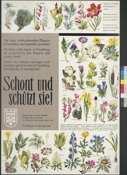 Informationsplakat über geschützte Pflanzen in Vorarlberg