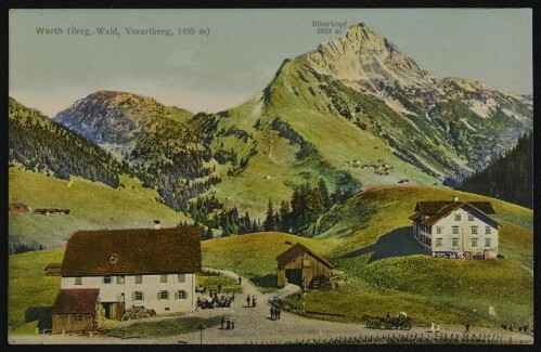 Warth (Breg.-Wald, Vorarlberg, 1495 m) : Biberkopf 2603 m