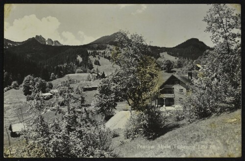 [Bürserberg] Pension Alpila Tschengla 1251 m