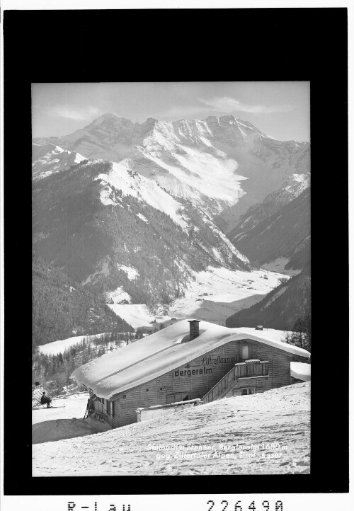 Steinach am Brenner / Bergeralm 1600 m gegen Zillertaler Alpen / Tirol