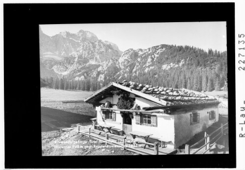 Karwendelgebirge / Tirol / Rontalalm 1262 m bei Hinterriss 940 m gegen Rappenkammspitze 1835 m : [Rontalalm gegen Vogelkarspitze und Schlichtenkarspitze]