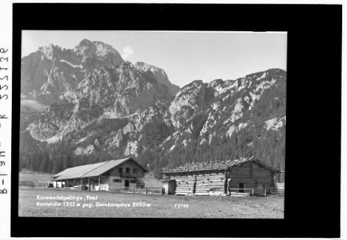 Karwendelgebirge / Tirol / Rontalalm 1262 m gegen Steinkarspitze 2030 m : [Rontalalm bei Hinterriß gegen Vogelkarspitze und Schlichtenkarspitze]