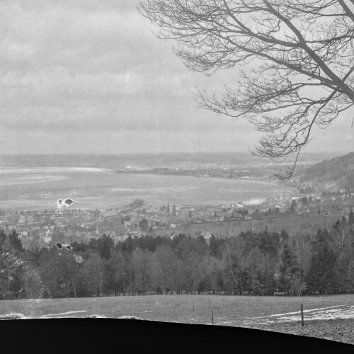 Bodensee, Seegfrörne 1963, Blick von der Fluh