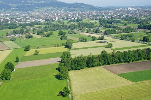 [Lustenau, Landwirtschaft]