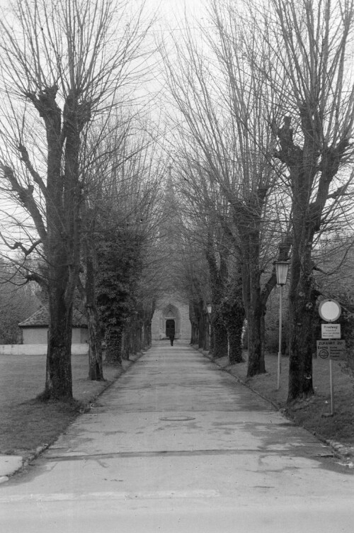 Allee bei der Evangelischen Kreuzkirche am Ölrain