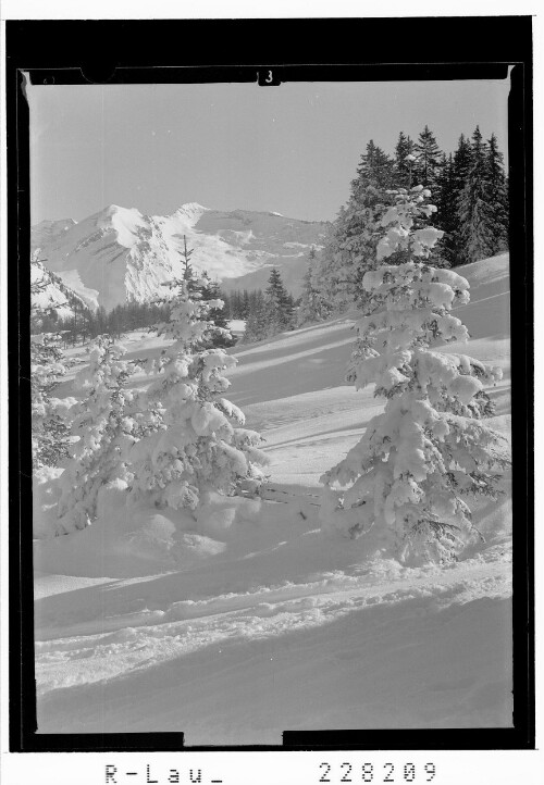 [Blick vom Sattelberg ob Gries am Brenner gegen Kraxentrager / Tirol]