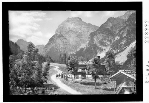 Falzturnalpe / Achensee in Tirol : [Falzthurnalm bei Pertisau am Achensee gegen Lamsenspitze und Sonnjoch]