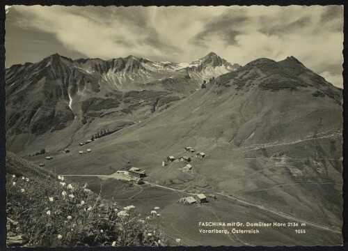 [Fontanella] Faschina mit Gr. Damülser Horn 2136 m Vorarlberg, Österreich