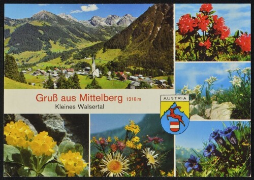 Gruß aus Mittelberg 1218 m Kleines Walsertal