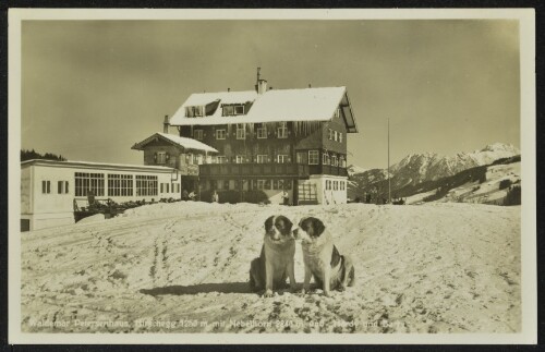 [Mittelberg] Waldemar Petersenhaus, Hirschegg 1250 m mit Nebelhorn 2240 m und 