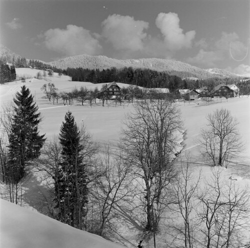 Dornbirn Heilenberg, Winter