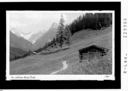 Tirol / Am Weg zwischen Madau und Bach