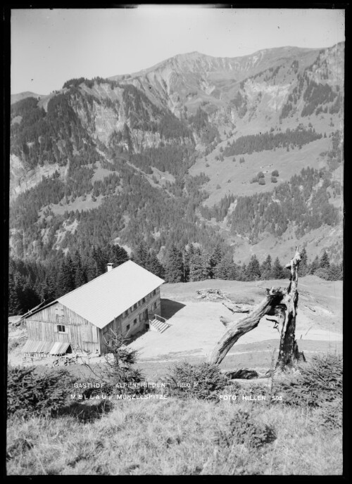 Gasthof Alpenfrieden 1260 M Mellau Mörzelspitze