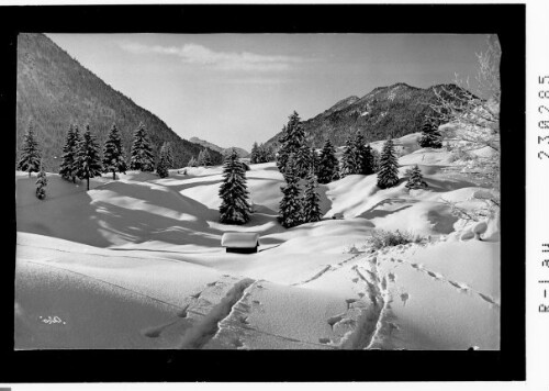 [Motiv bei Reutte im Ausserfern / Blick zum Zwieselberg / Tirol]