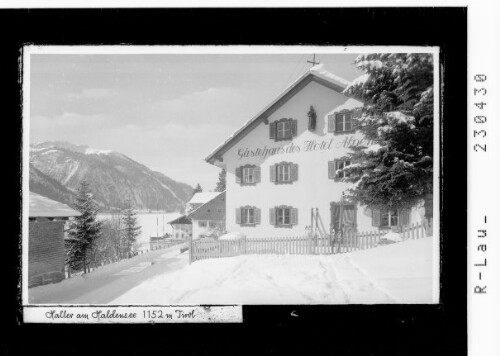 Haller am Haldensee 1152 m / Tirol : [Gästehaus des Hotel Alpenhof in Haller am Haldensee gegen Vogelhorn / Ausserfern]