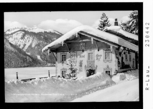 Wintersportplatz haller am Haldensee / Tirol 1144 m : [Hotel Alpenhof in Haller am Haldensee gegen Vogelhorn / Ausserfern]