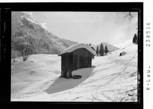 [Skigebiet ob Holzgau im Lechtal mit Blick zum Pimig / Ausserfern / Tirol]