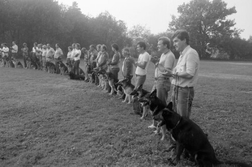 Drittes Internationales Schutzhundeturnier des Vereins der Hundefreunde Bregenz
