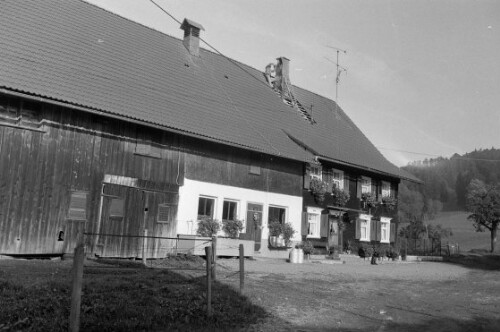 Häuser in Hohenweiler