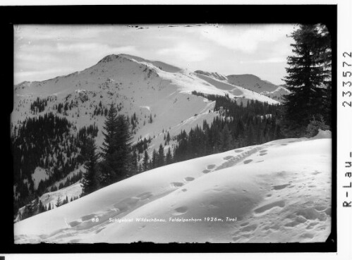 Skigebiet Wildschönau, Feldalpenhorn 1936 m, Tirol : [Blick zum Feldalphorn]
