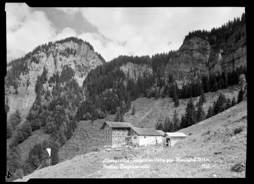 Alpengasthof - Hofstetten 1160 m geg. Kanisfluh 2047 m Mellau, Bregenzerwald